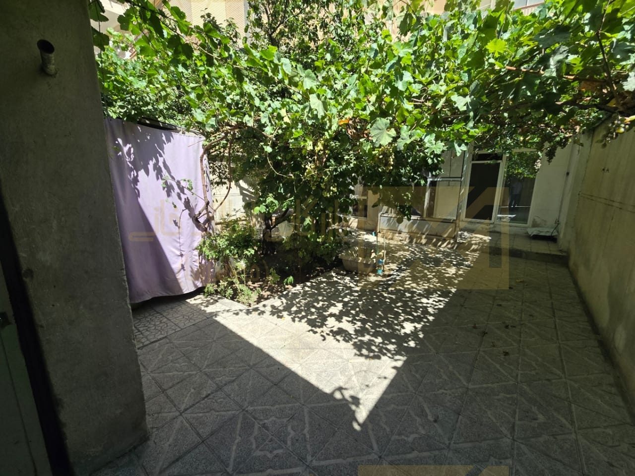 حیاط ۱۷۶ متری واقع در کوچه باغ